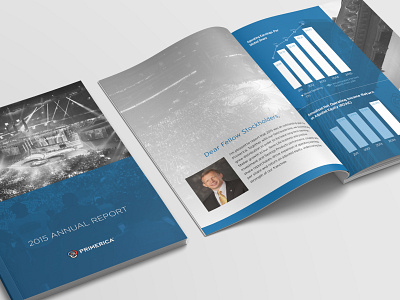 2015 Primerica Annual Report annualreport charts corporate identity financial infographics layout publication