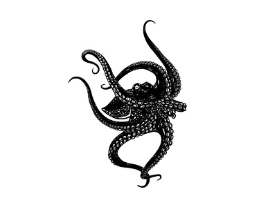 Illustration - Octopus animal design illustration ink procreate