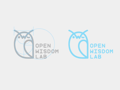 Branding for OWL lab animal bird blue branding，smart flat lab logo owl simple wisdom