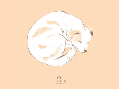 Doggy dog dog illustration drawing illustration love pet procreate sleep warm