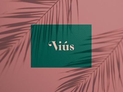 Viús branding design logo vector