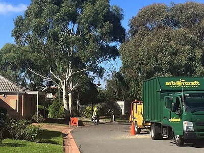 How Much Does a Tree Removal Service Cost? arborcraft tree services arborist melbourne tree care services tree removal tree removal melbourne tree removal service tree services tree services melbourne