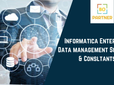 Informatica Enterprise Data Management Solutions & Consultants data management services