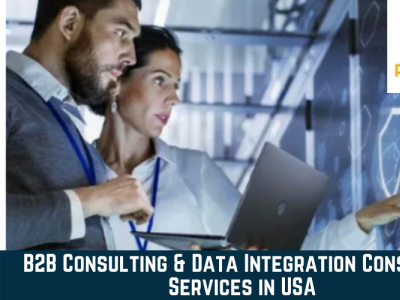B2B Solutions & Data Integration Services b2b consulting services b2b solutions data integration solutions
