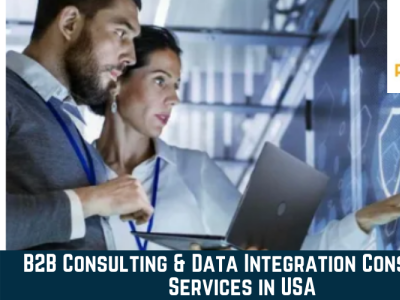 B2B Solutions & Data Integration Services