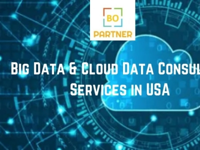 Big Data & Cloud Data Consulting Services big data consulting cloud data consulting services