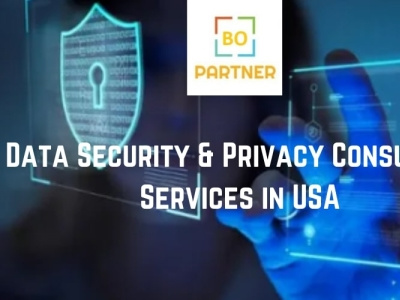Data Security Consulting Services USA