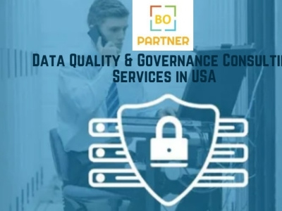 Data Quality Consulting Services USA