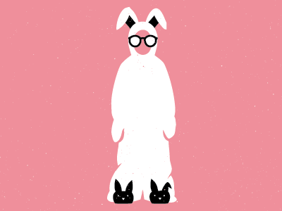 Bunny Suit Designs Themes Templates And Downloadable Graphic Elements On Dribbble