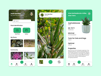 Plant Identification App