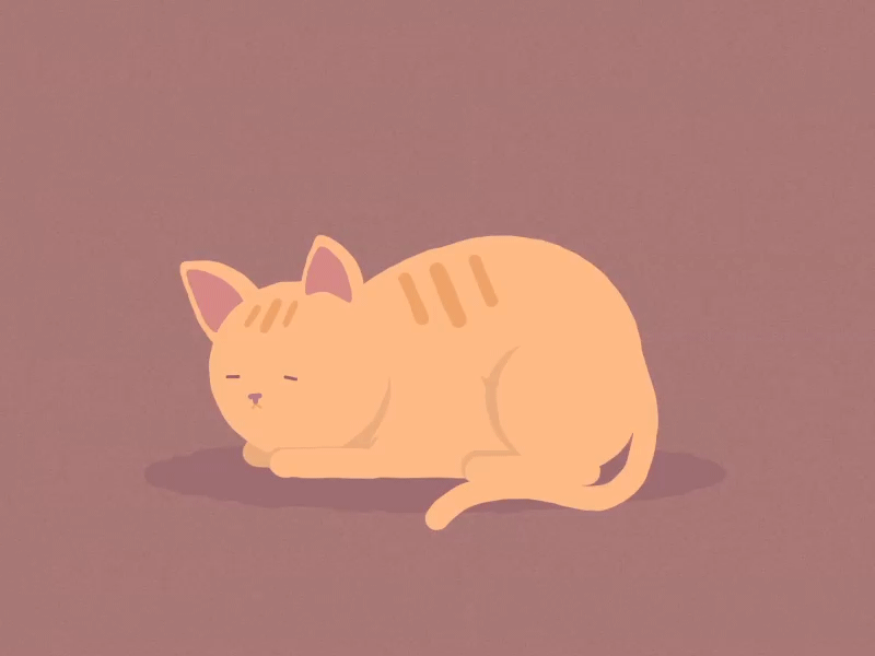 Vacuum cat