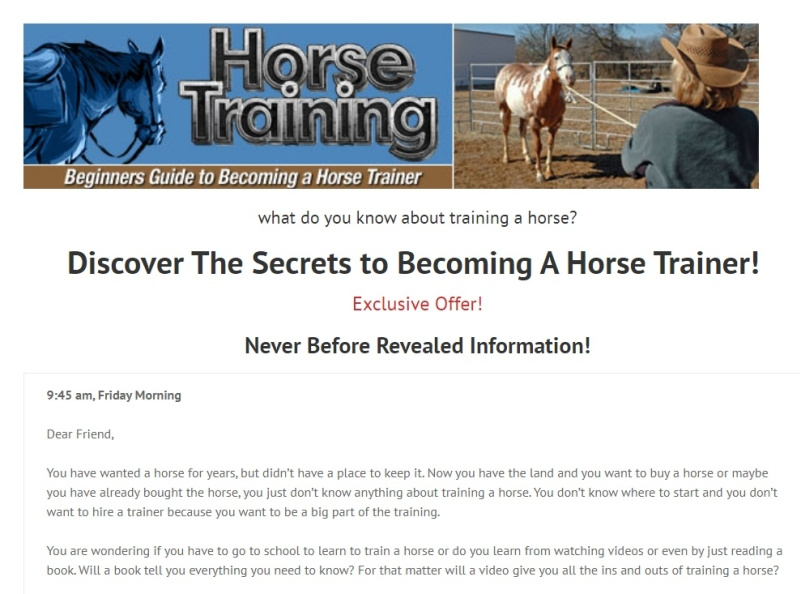 Precision Horse Training by Sonu Rajput on Dribbble