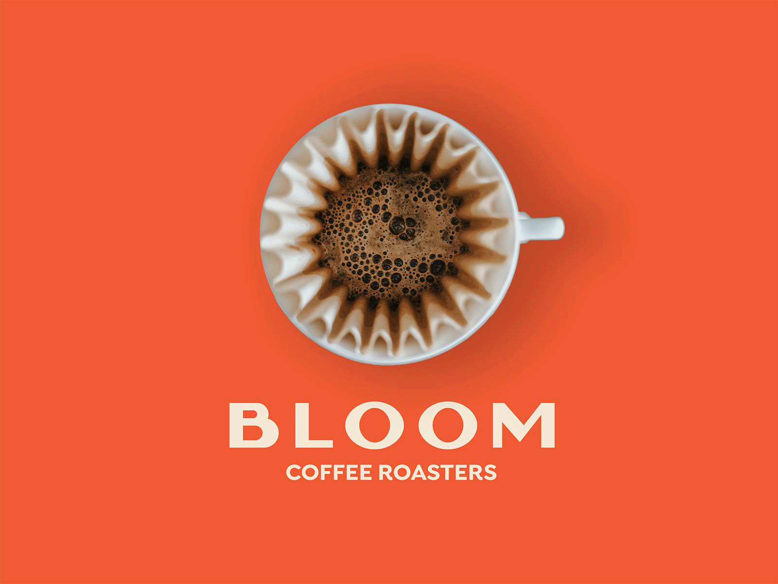bloom logo animate for dribbbs bloom branding circles coffee color filter flower geometric logo minimal shapes typography