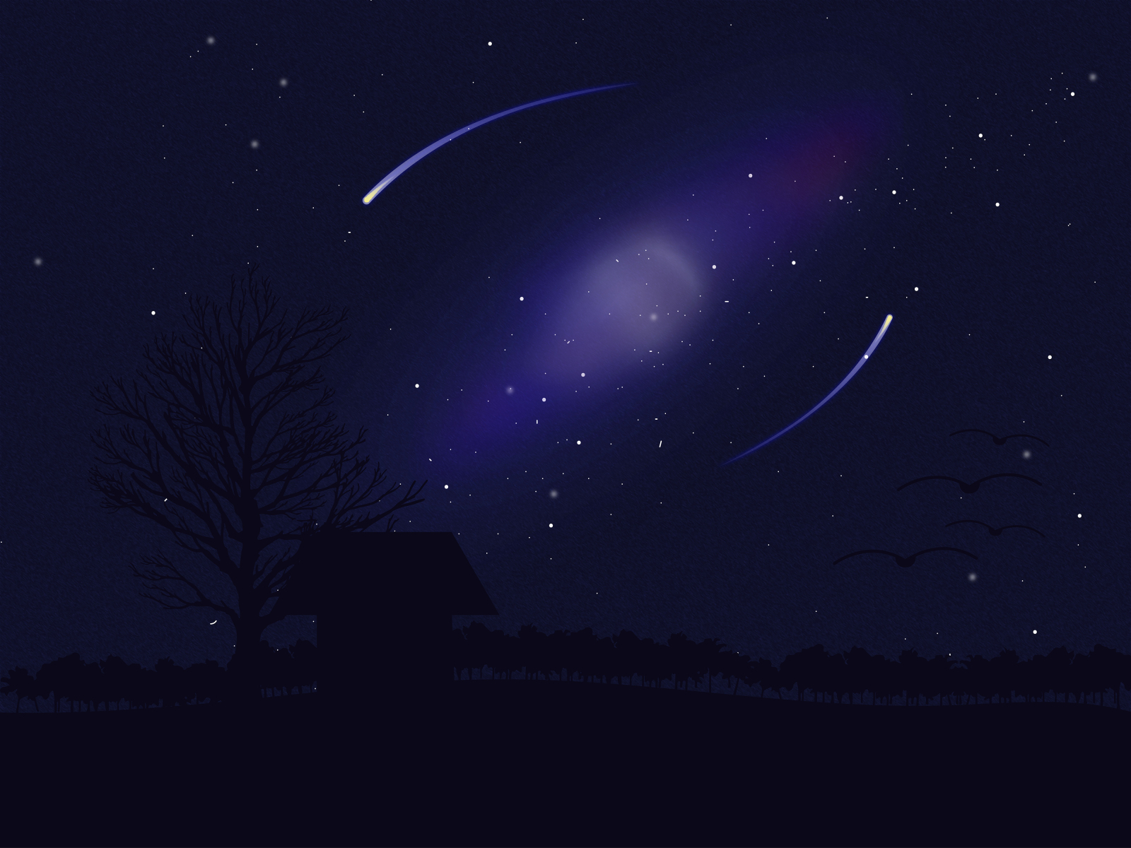 Galaxy by Alimibra on Dribbble