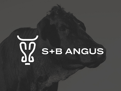 S+B ANGUS