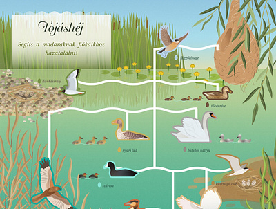 Lake Tisza Boardwalk Interactive Educational Board animal animals botanical children childrens illustration countryside education educational illustration nature scienece illustration vector wildlife