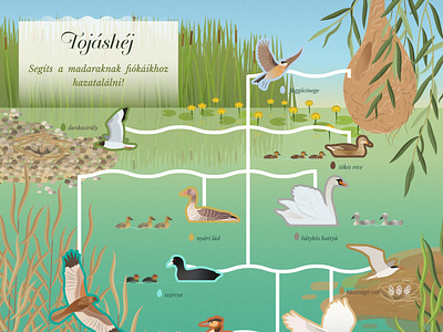 Lake Tisza Boardwalk Interactive Educational Board