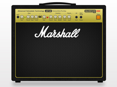 Marshall AVT 50 Guitar Amp amp guitar