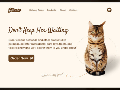 Petcare - Pet Food Website UI Design app branding call to action design figma heading headings hero section landing page minimal squarespace tumblr ui website