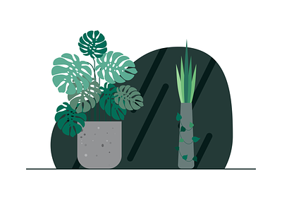 Plants illustration minimal plants vector