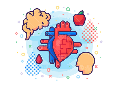 Medical Biology - Human Heart Organ biology bloody brain education green heart icon natural nature research science vector