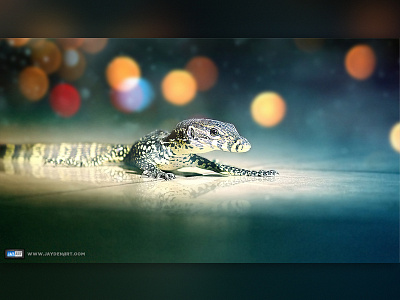 Baby Iguana baby dark full glow hd iguana jaydenart lights street streets