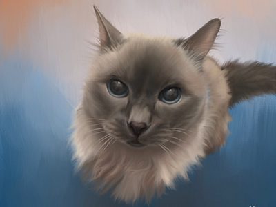 Animal painting in Procreate apple pencil cat ipad pro painting