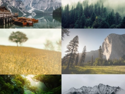 image gallery css hover effects