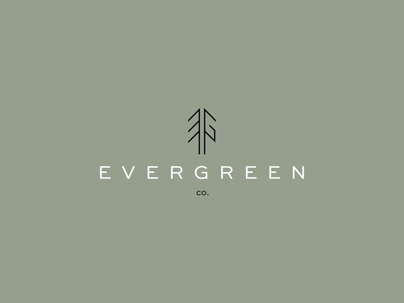 Evergreen Co. branding design illustration logo vector