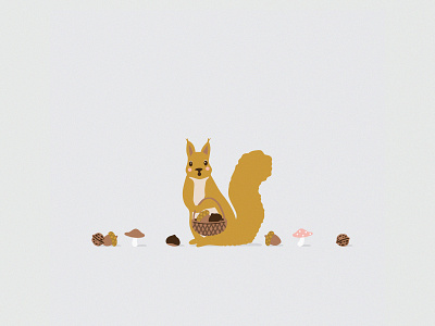 Gathering Squirrel animal animal illustration design illustration illustration design nature squirrel wildlife