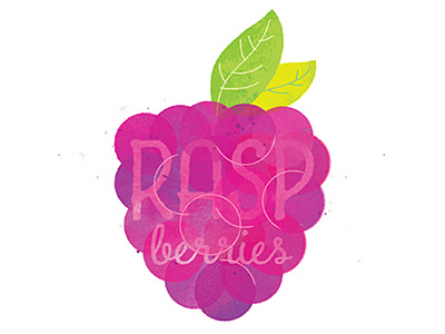 Raspberries graphic design illustration raspberries what i wish i was eating