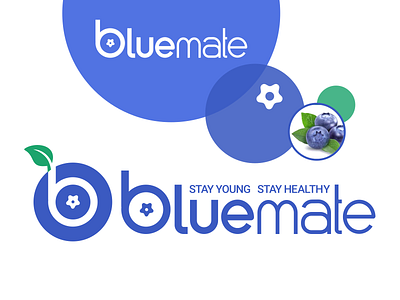 Bluemate heathy VI blue blueberry branding illustration logo purple vi