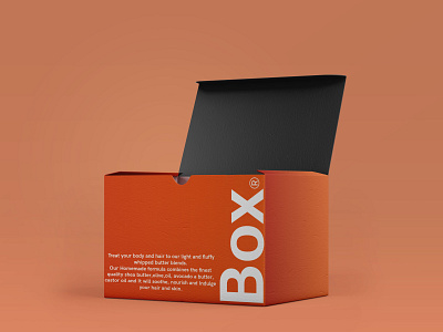 Box v01