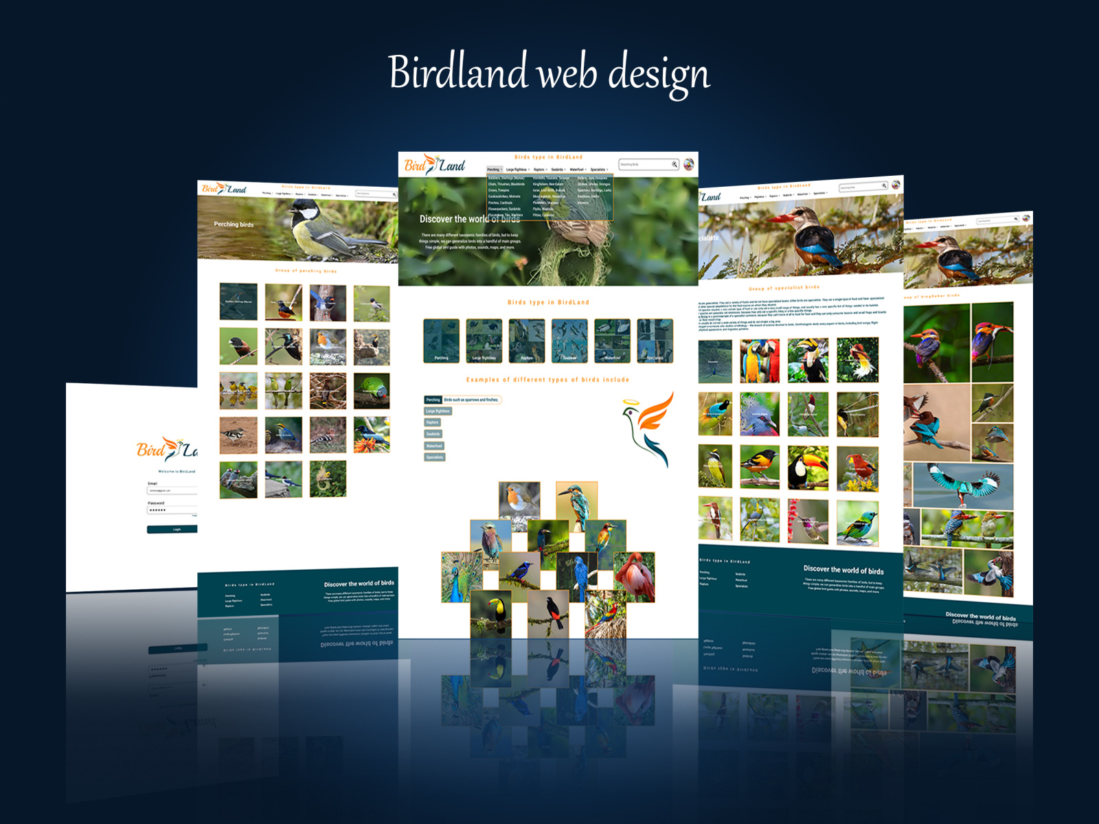 Birdland website design template by FA Creation on Dribbble