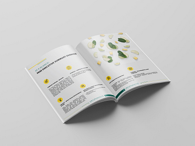 Business Plan Design for Lydia's Microgreens brand branding business plan design digital digital art ebook ebook design green magazine magazine design mockup mockup design mockups yellow