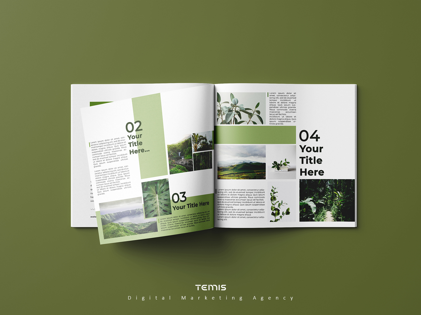 creative brochure design template free download