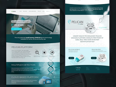 Website Design for Pelican branding design digital digital art health app healthcare identity branding identity design mockup mockup design ui ux web design website website design websites