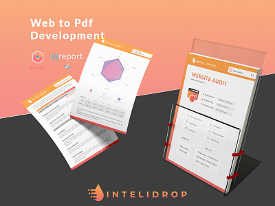 Report Design and Development Intelidrop
