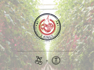 Logo Design for 3 Kings 2d 2d art brand branding cherry colorful design digital digital art graphic design identity branding illustration logo logo design retro retro logo vector