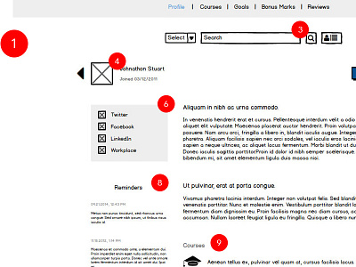 Linium Intranet Portal Wireframe beta business employee management portal social media