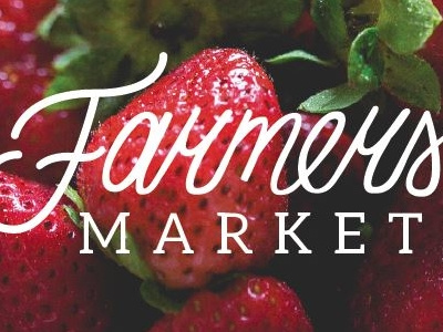 Farmers Market Logotype branding casual food fruit lettering logo nature organic script vector