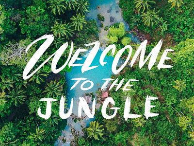 Jungle Type Treatment calligraphy digital calligraphy editorial hand lettering illustration lettering photoshop type