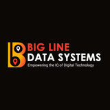 BIG LINE DATA SYSTEMS (BLDS INDIA)
