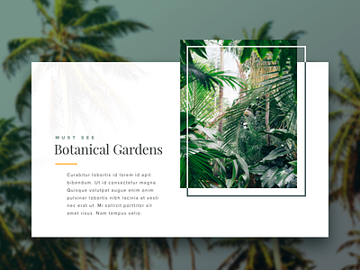 Botanical Gardens botanical branding design palm trees summer tropical type typography ui ux web