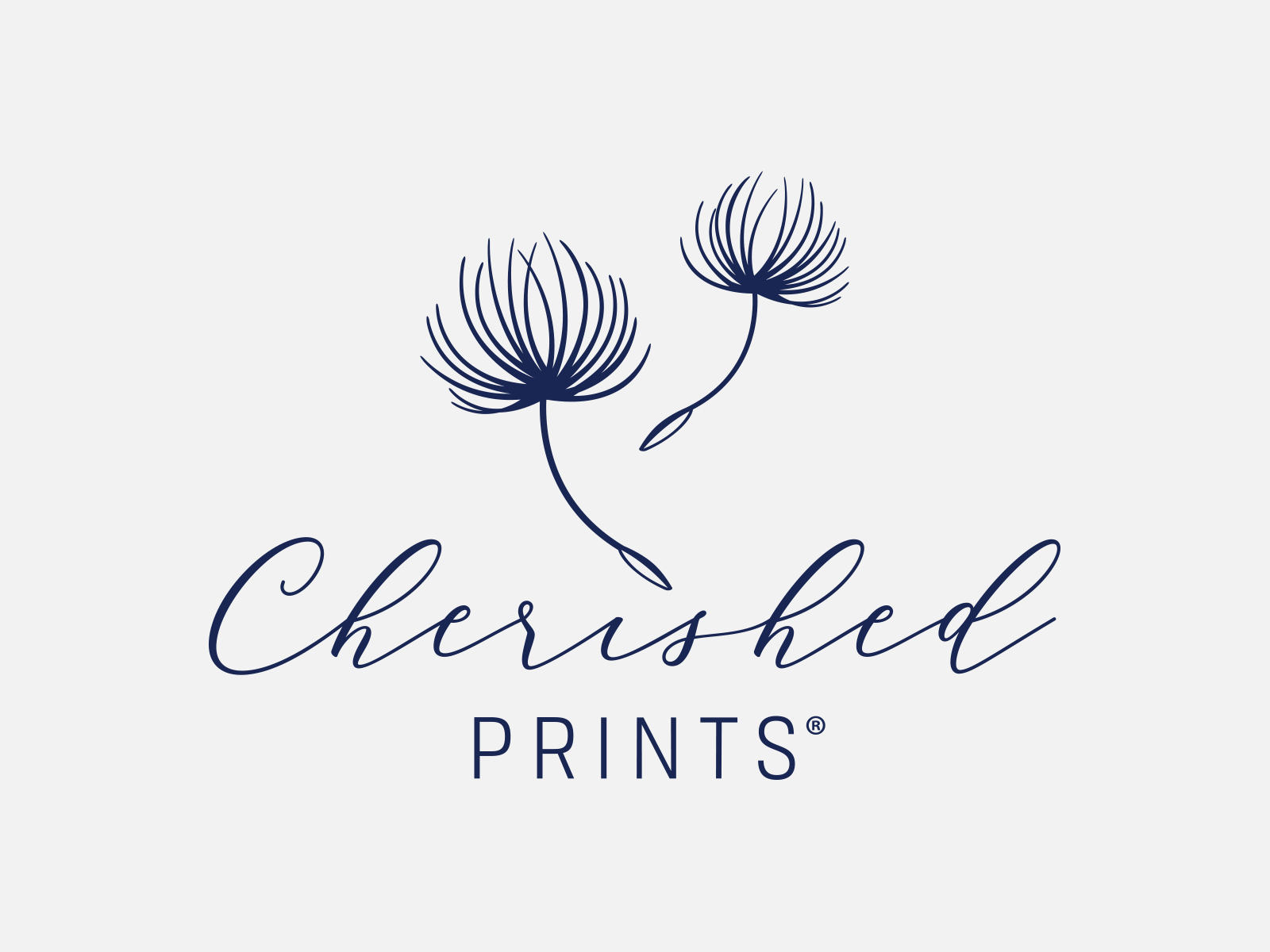 Cherished Prints logo by Melissa Fox-Austin on Dribbble