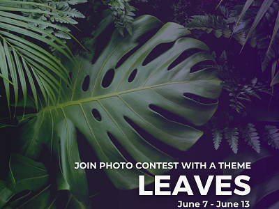 Leaves Photocontest invitation by Glostars autumn colors community contest design flowers forest glostars illustration landscape leaves logo nature park photographer photography photos spring summer trees