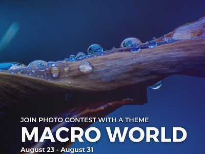Macro World photo contest invitation by Glostars colors community contest design fun glostars growth illustration learning logo macro micro opportunity photographer photography photos prizes recognition skills small