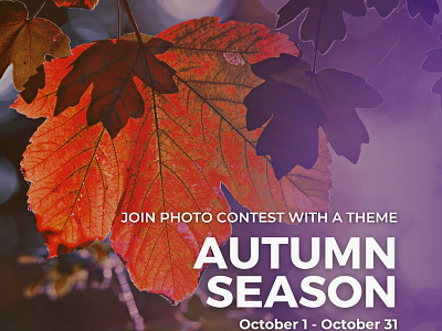 Autumn season photo contest invitation by Glostars autumn autumnvibes colors community contest countryside fall glostars landscape photocontest photographer photography photos red season sunset urban