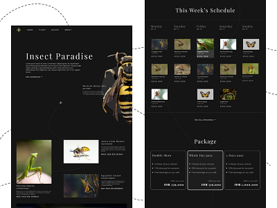 Insect Zoo Website animal app design insect ui ux website design zoo