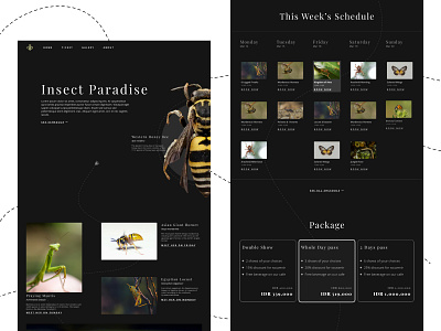 Insect Zoo Website